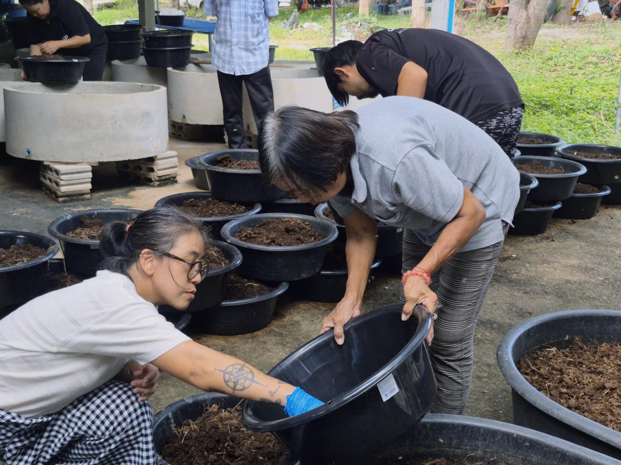 ภาพประกอบที่ 13