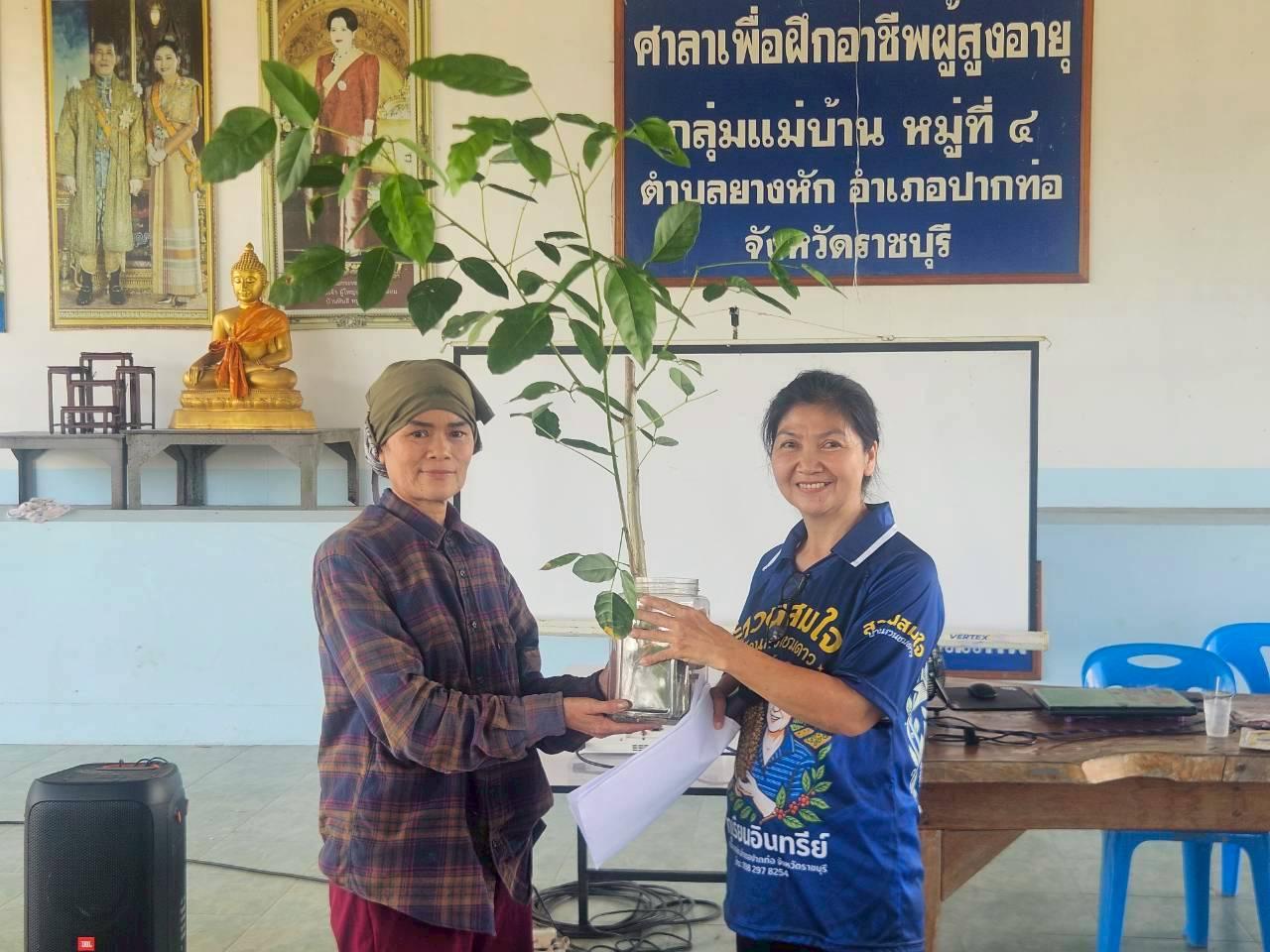 ภาพประกอบที่ 8