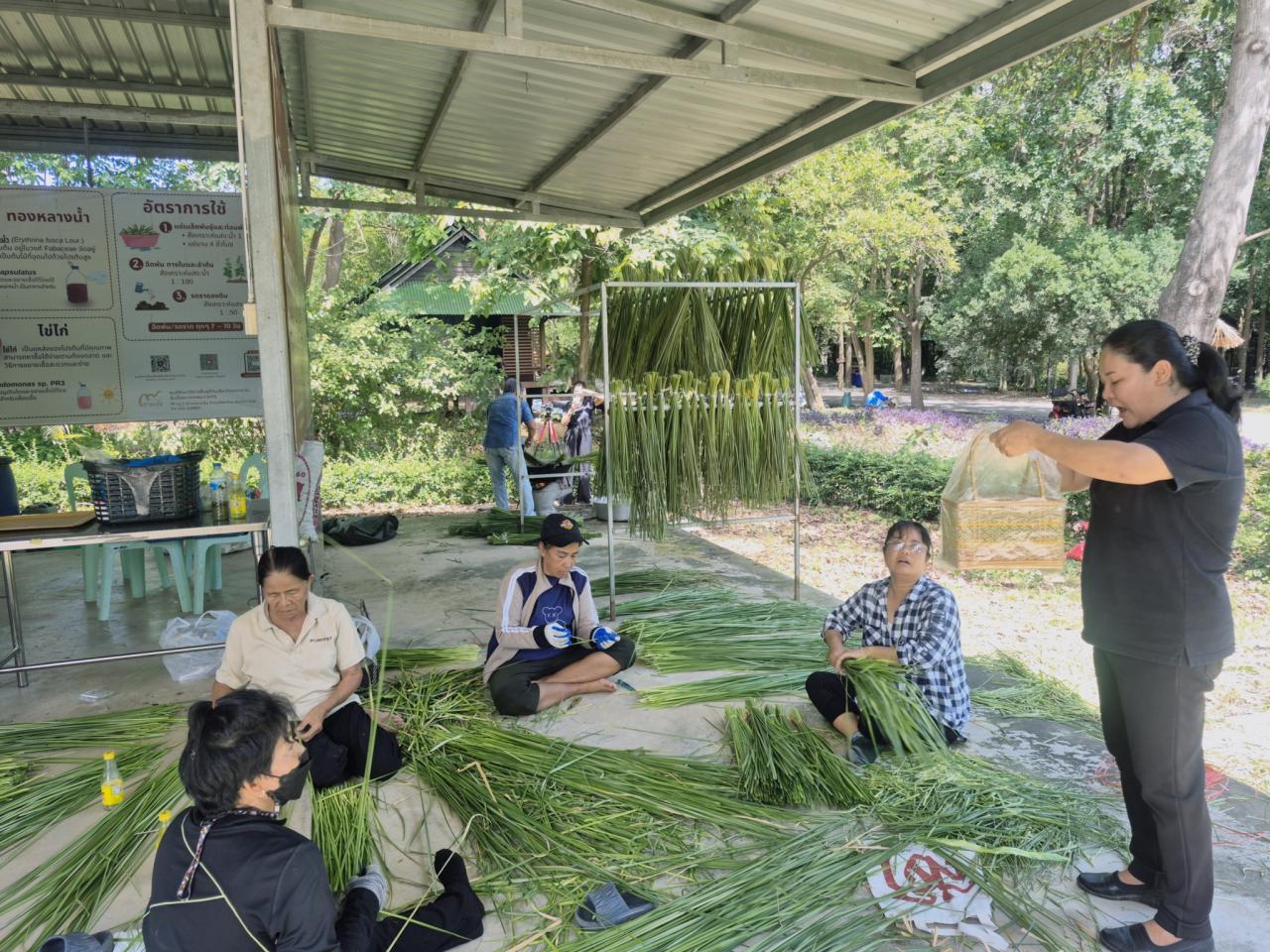 ภาพประกอบที่ 0