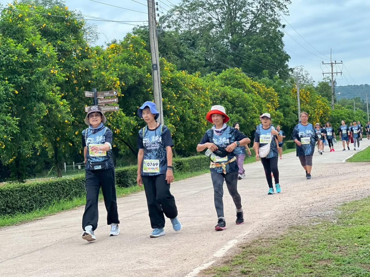 ภาพประกอบที่ 17
