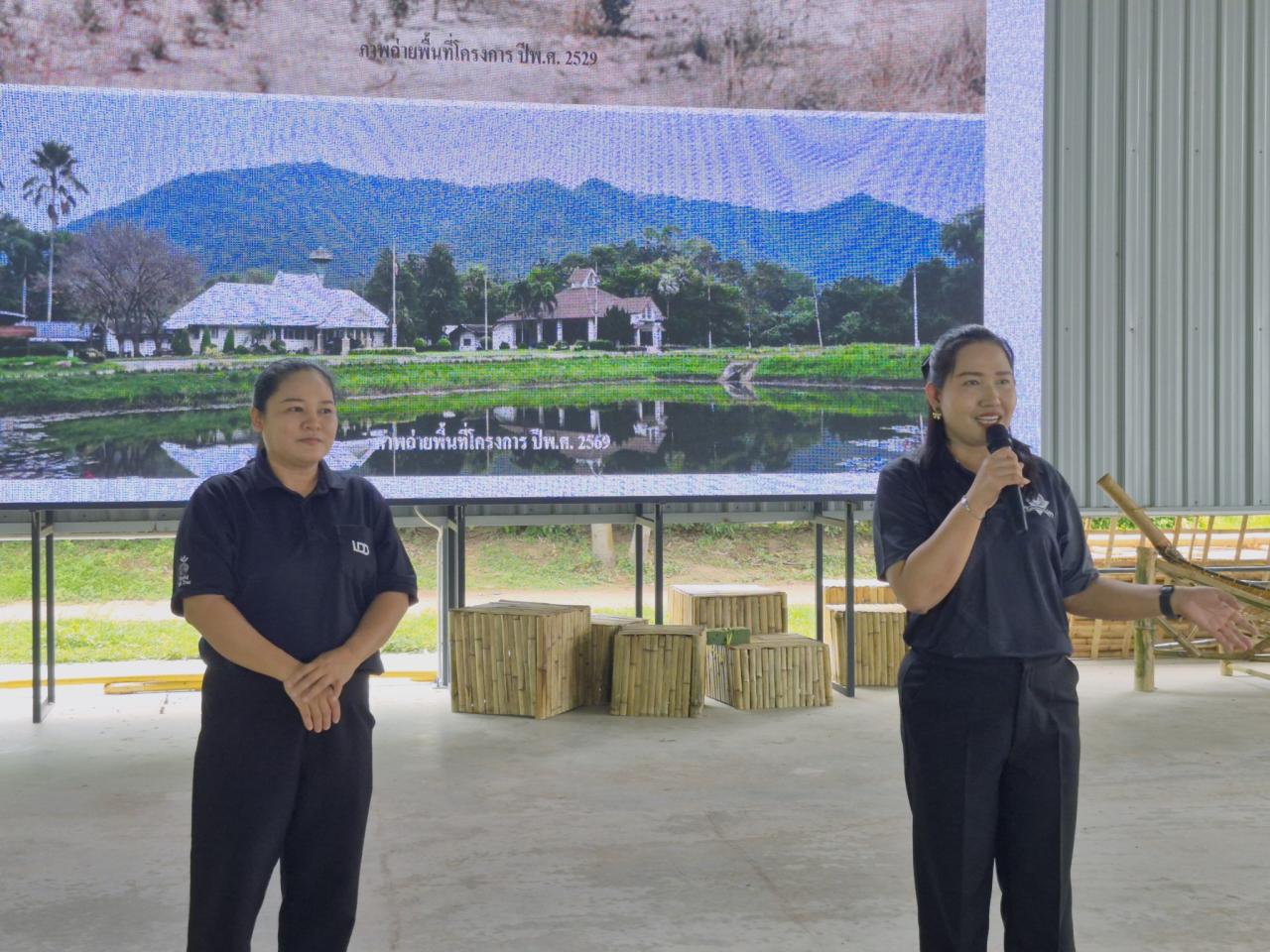 ภาพประกอบที่ 23