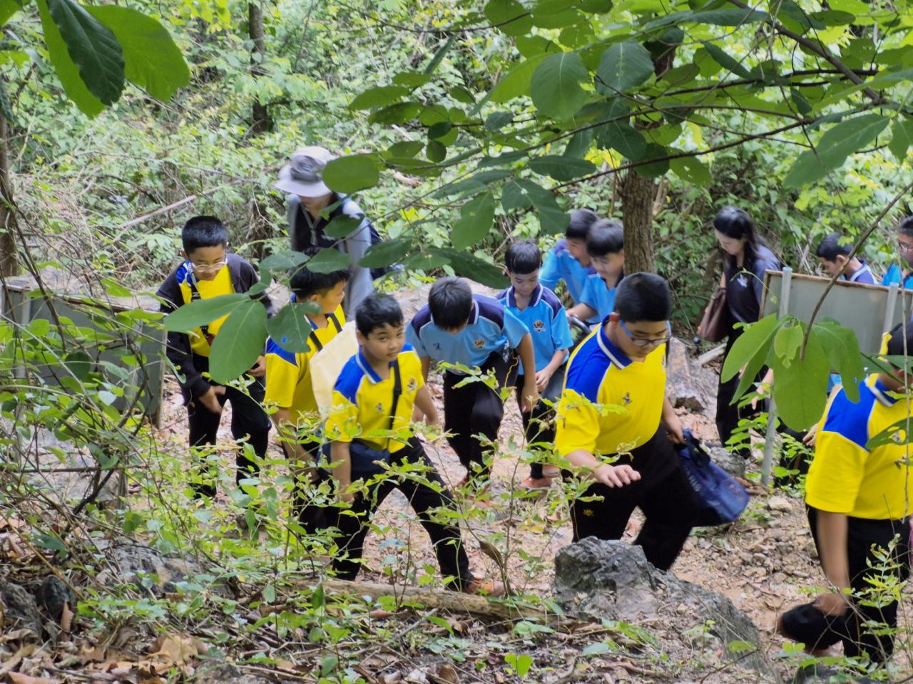 ภาพประกอบที่ 7