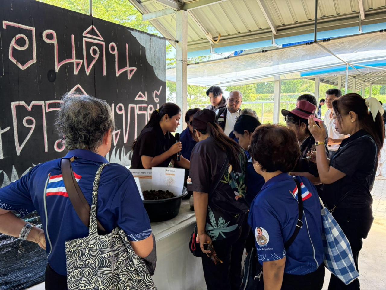 ภาพประกอบที่ 12