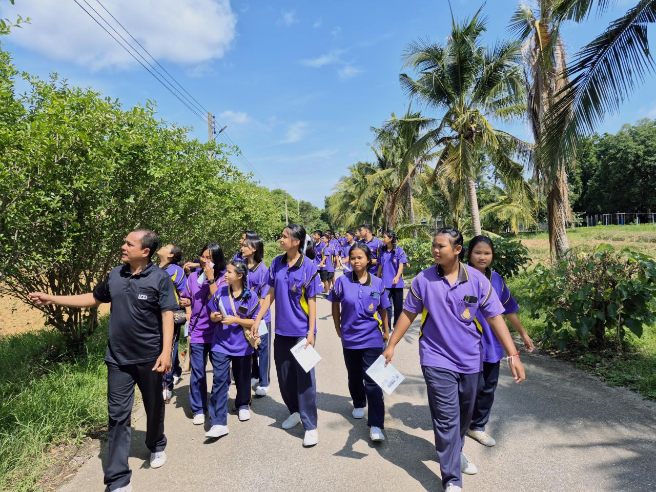 ภาพประกอบที่ 25