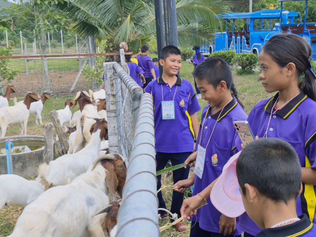 ภาพประกอบที่ 19