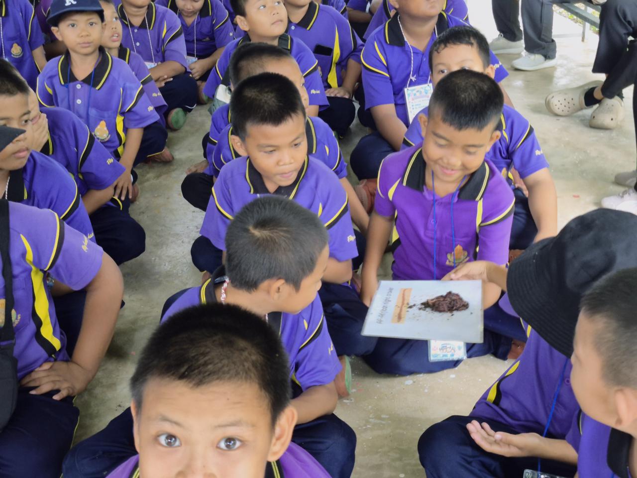 ภาพประกอบที่ 11