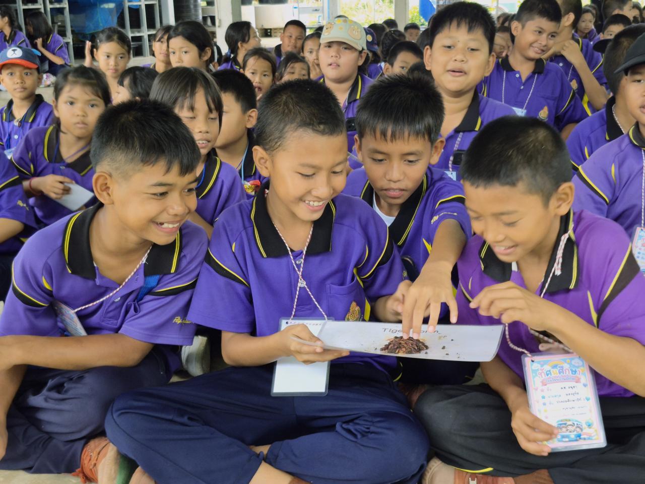ภาพประกอบที่ 12