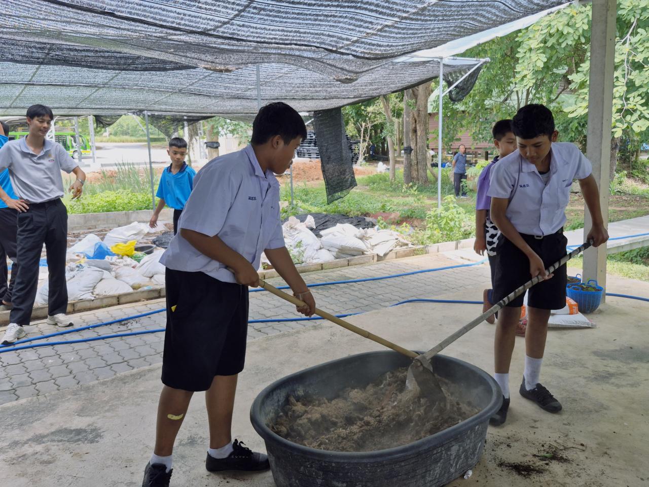 ภาพประกอบที่ 11