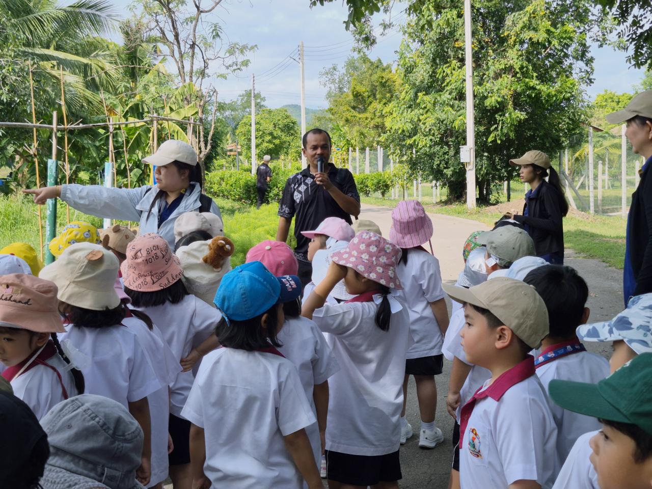 ภาพประกอบที่ 3