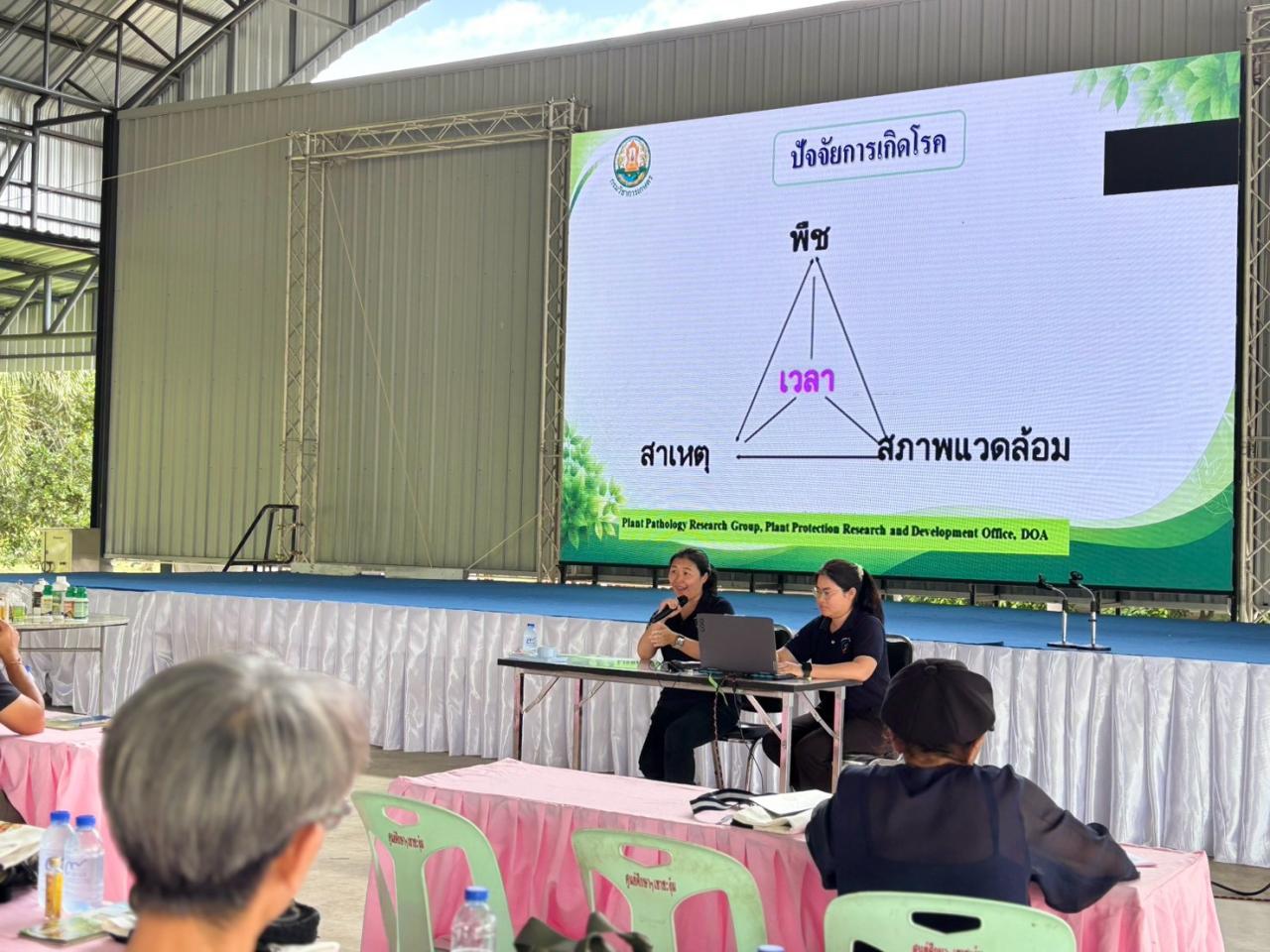 ภาพประกอบที่ 10