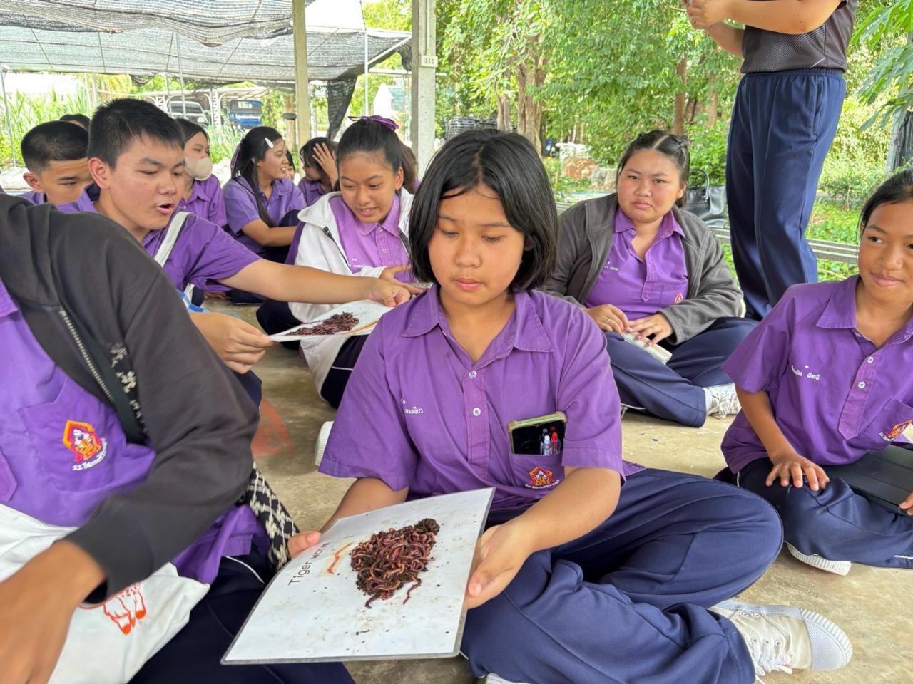 ภาพประกอบที่ 3