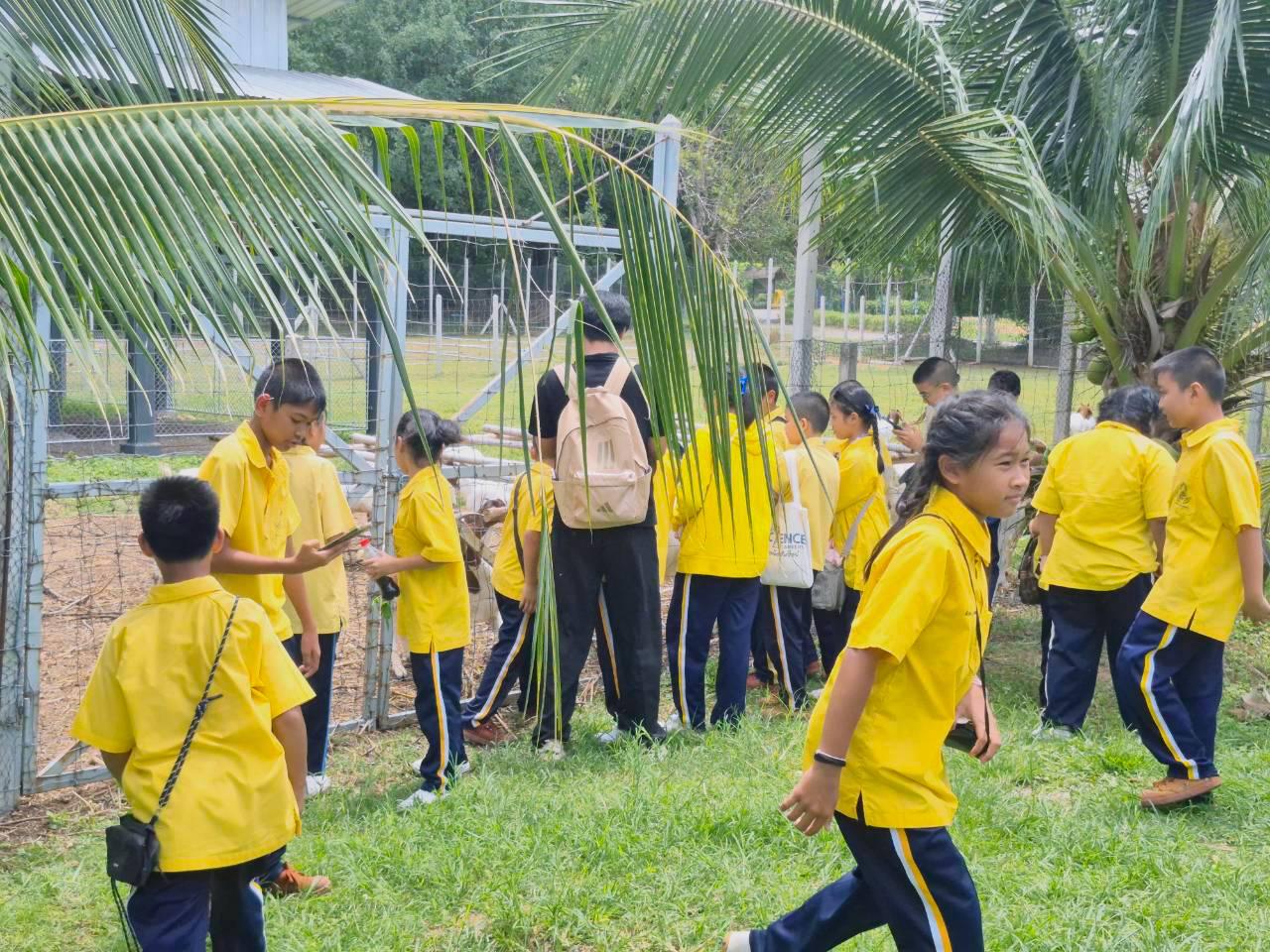 ภาพประกอบที่ 4