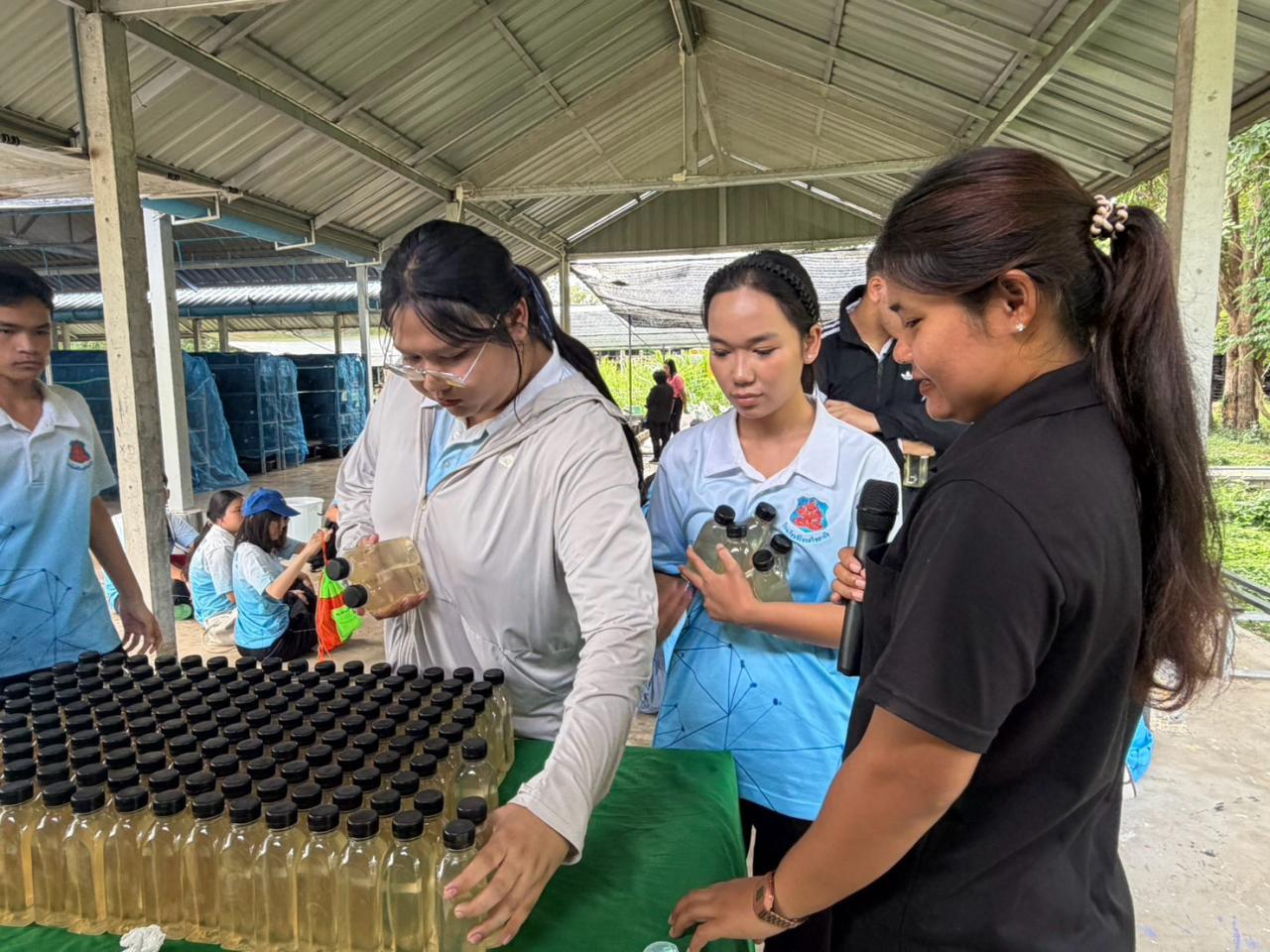 ภาพประกอบที่ 9