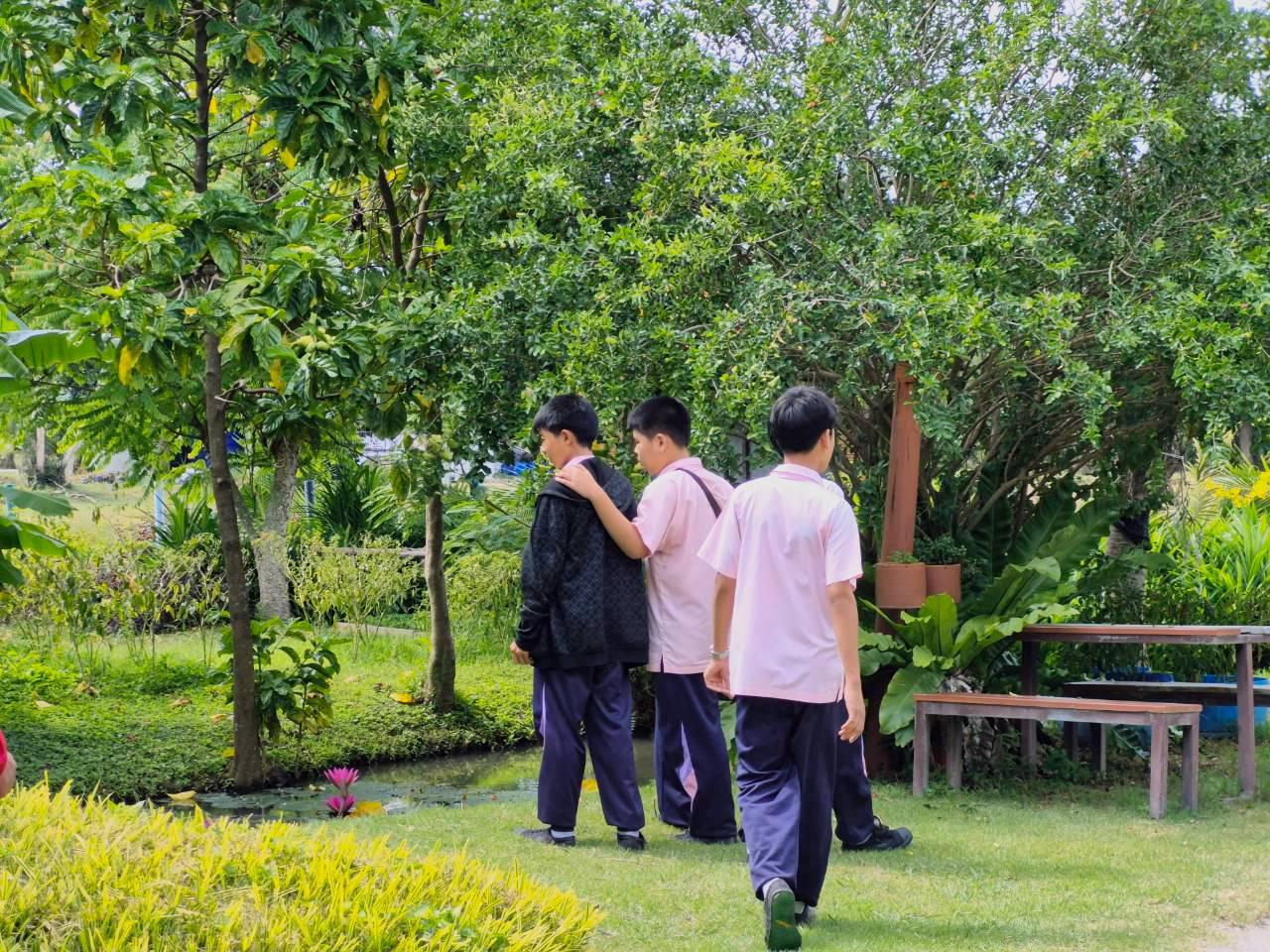 ภาพประกอบที่ 7