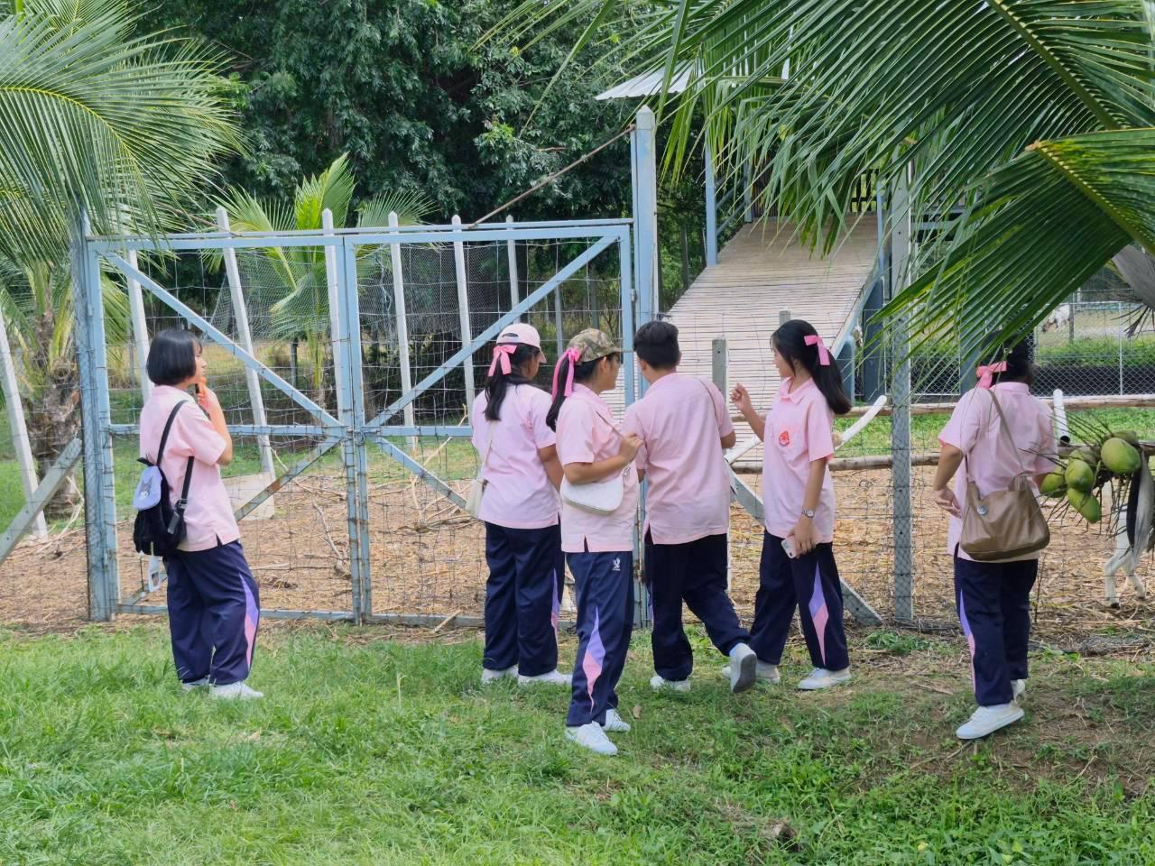 ภาพประกอบที่ 8