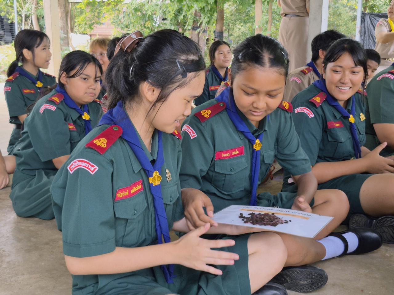 ภาพประกอบที่ 11