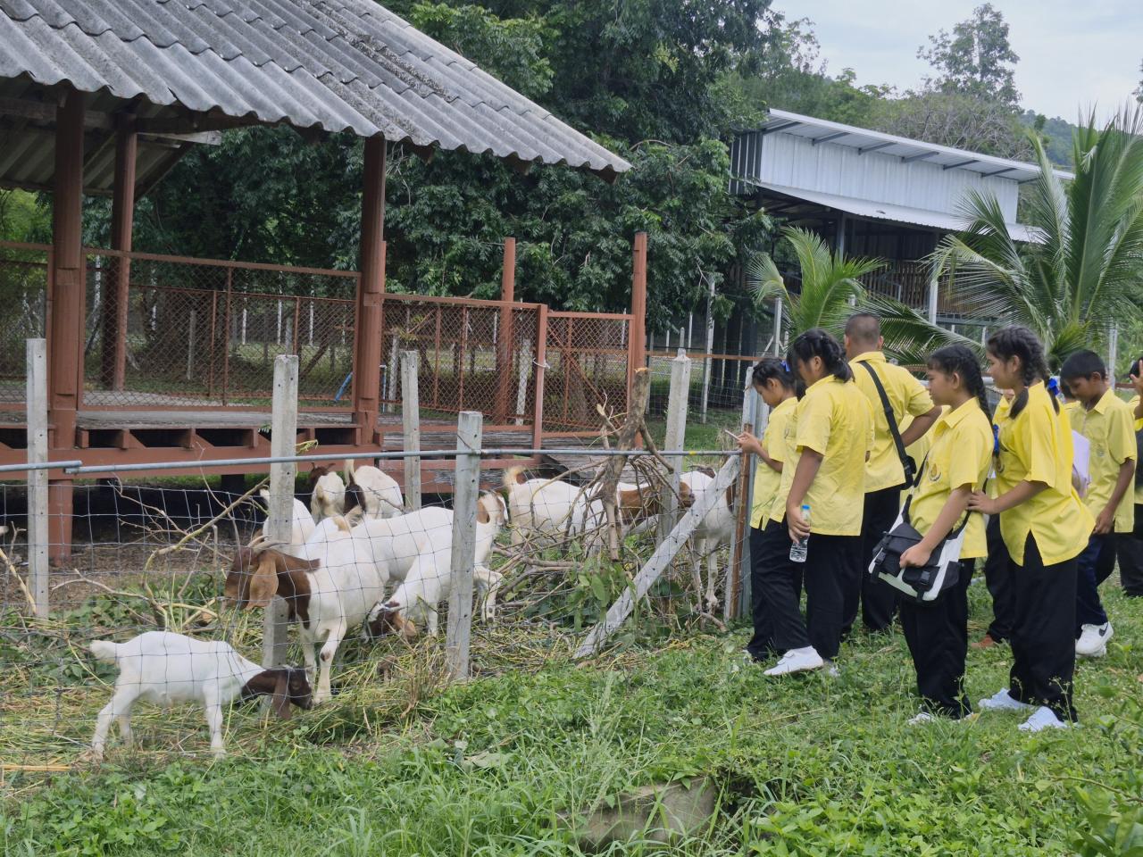 ภาพประกอบที่ 17