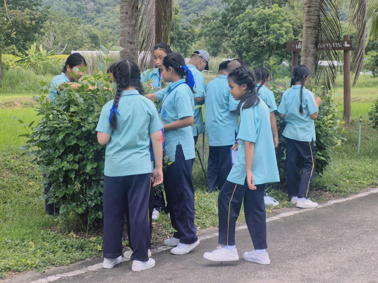 ภาพประกอบที่ 19