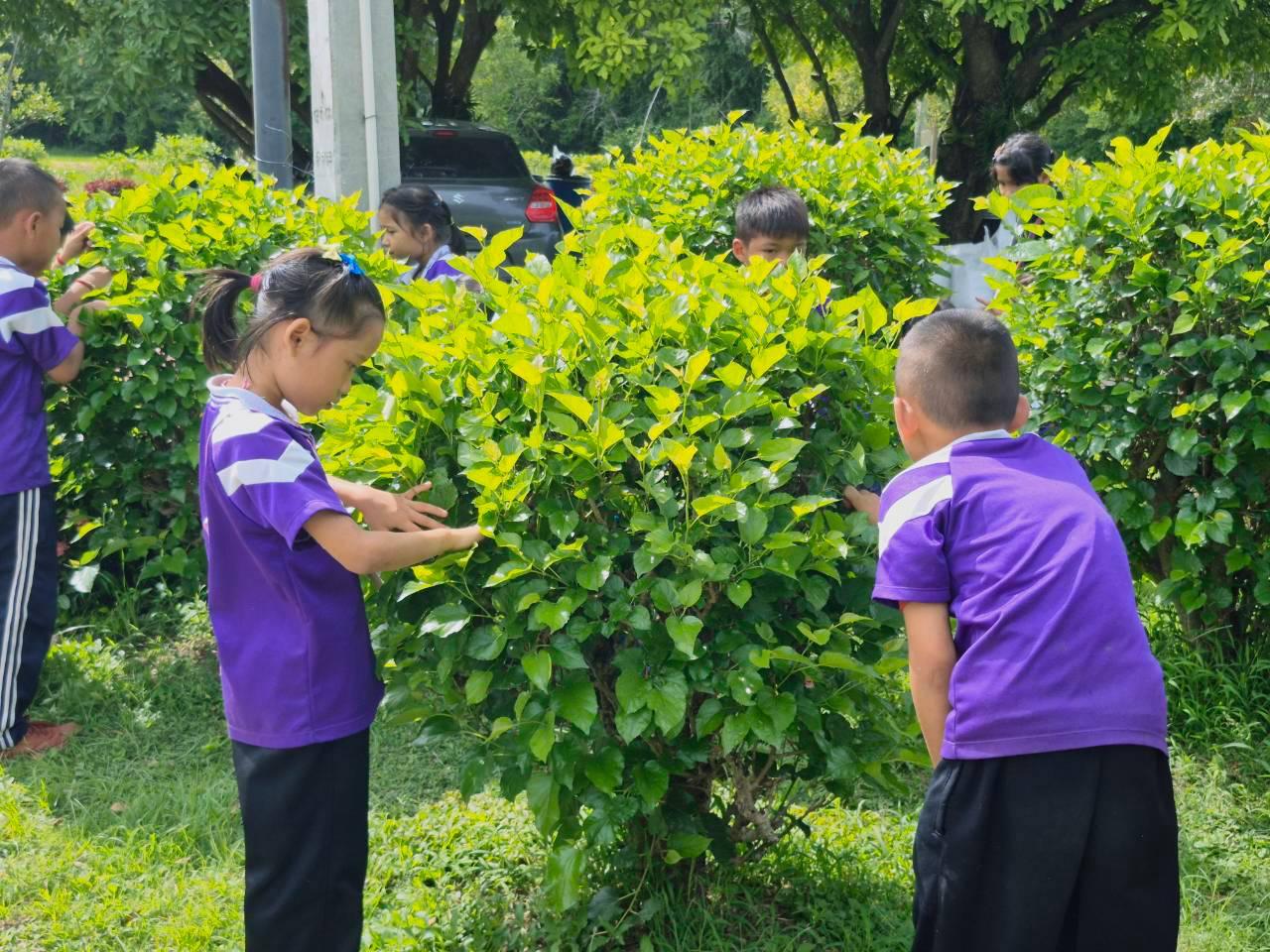 ภาพประกอบที่ 15