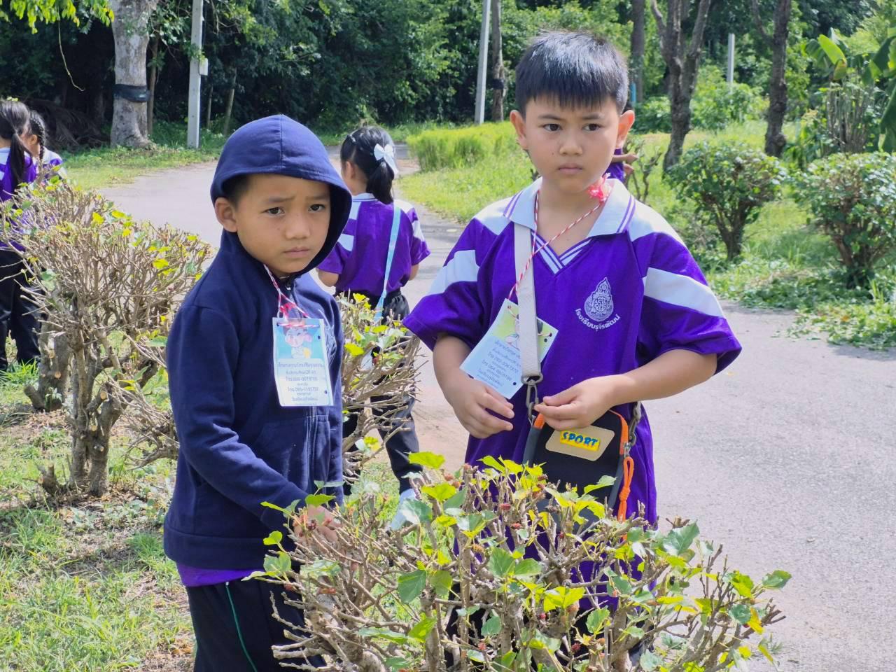 ภาพประกอบที่ 17