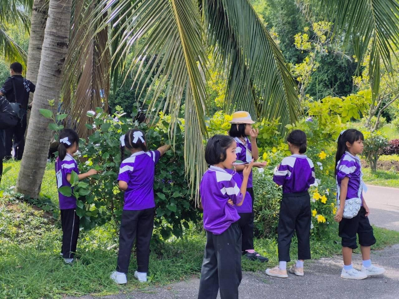 ภาพประกอบที่ 18