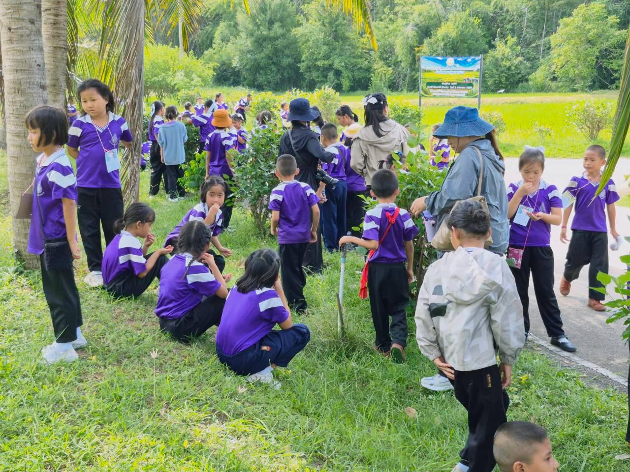 ภาพประกอบที่ 19