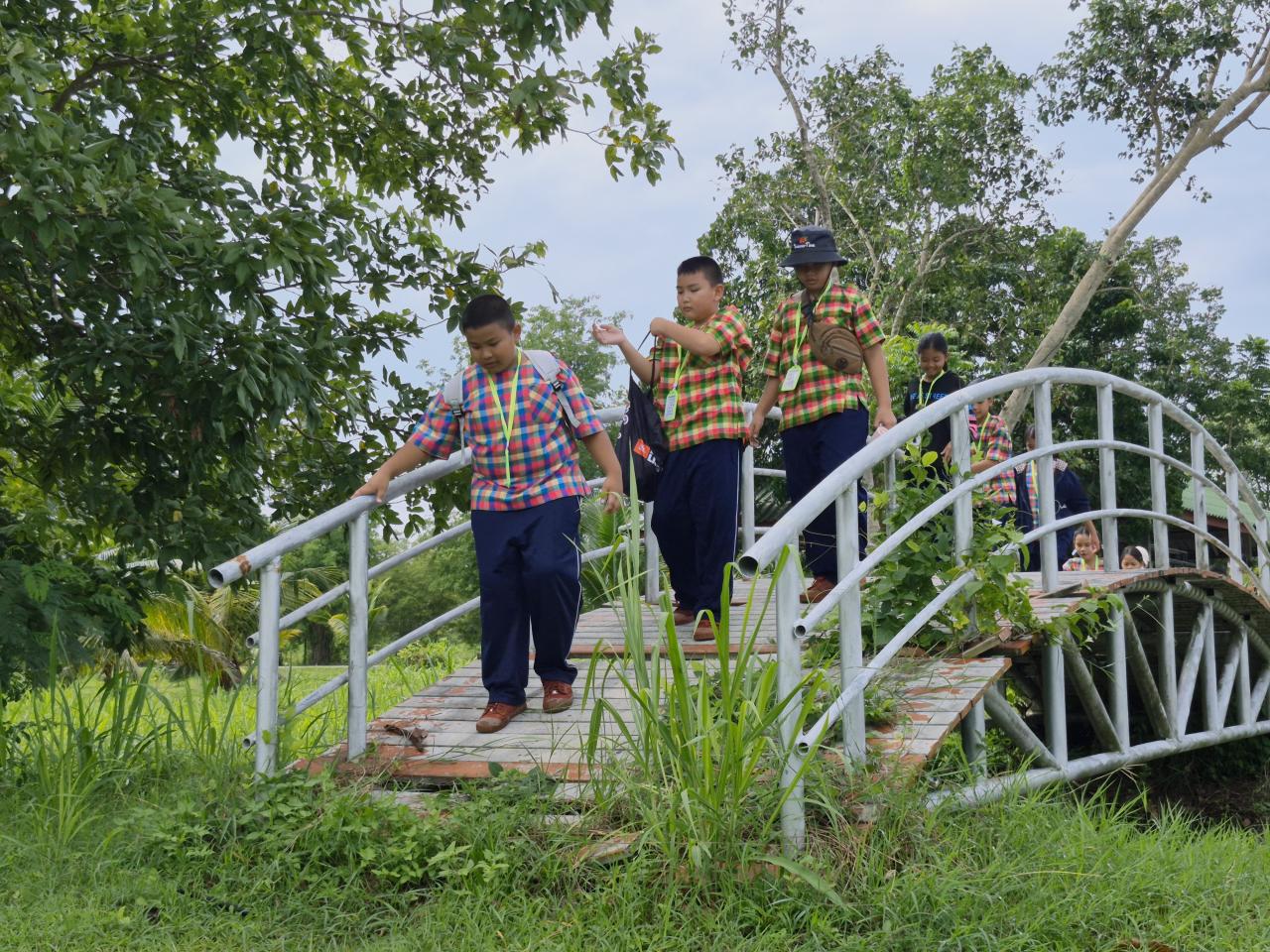 ภาพประกอบที่ 6