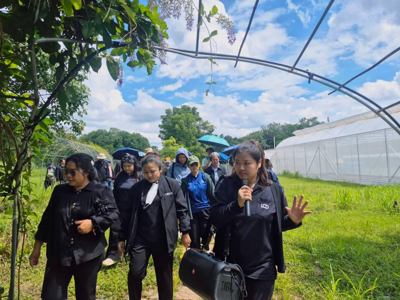 ภาพประกอบที่ 7