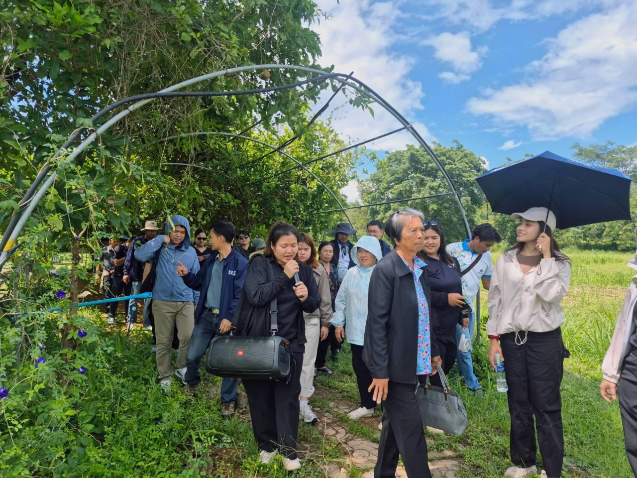 ภาพประกอบที่ 8