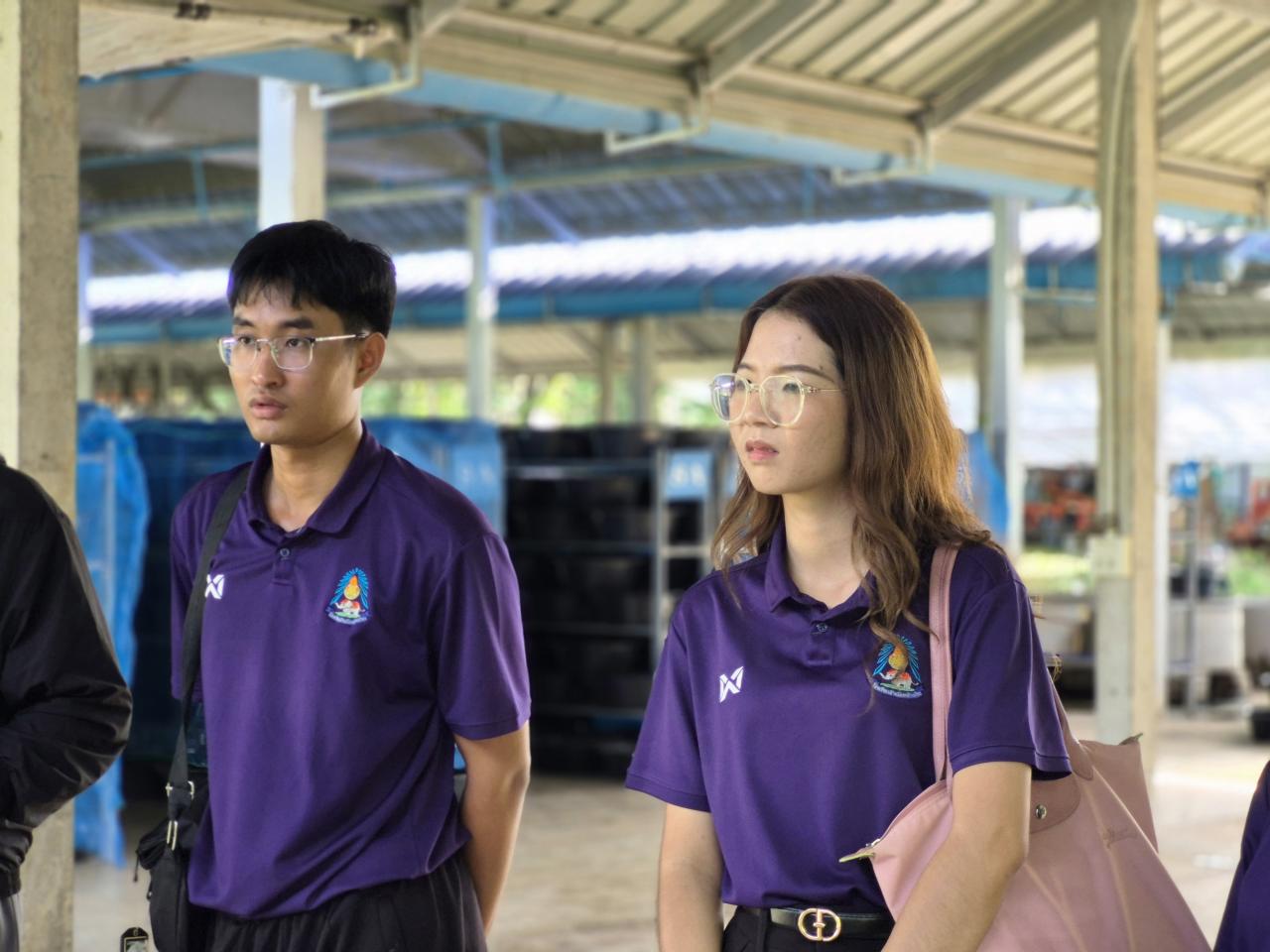 ภาพประกอบที่ 11