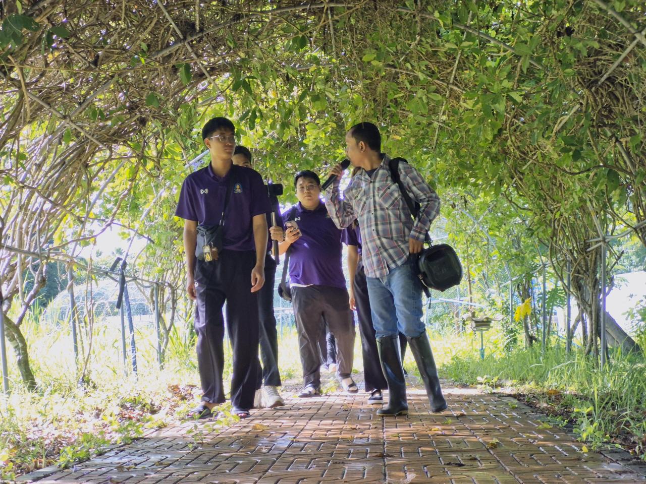 ภาพประกอบที่ 3