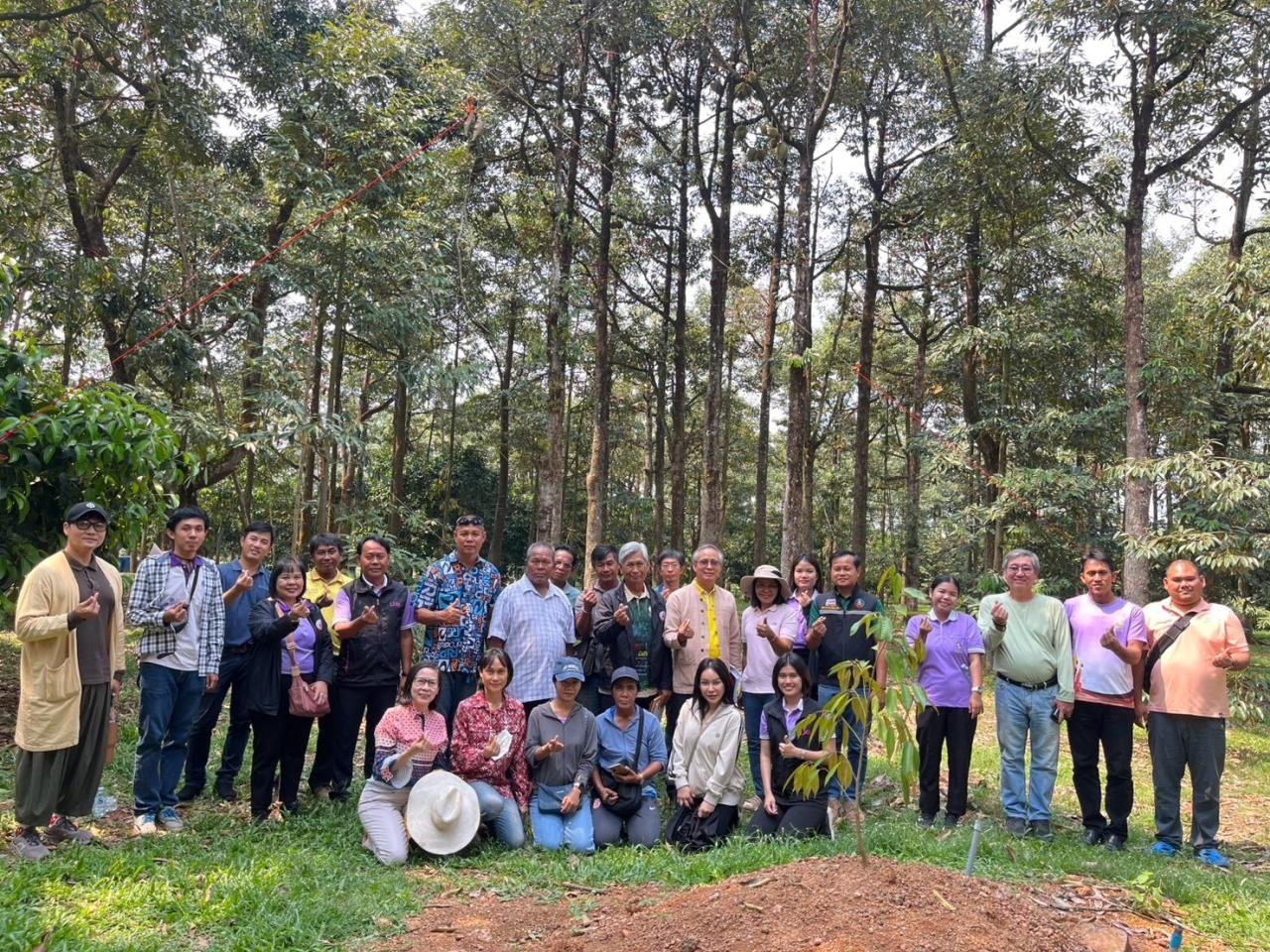 ภาพประกอบที่ 0