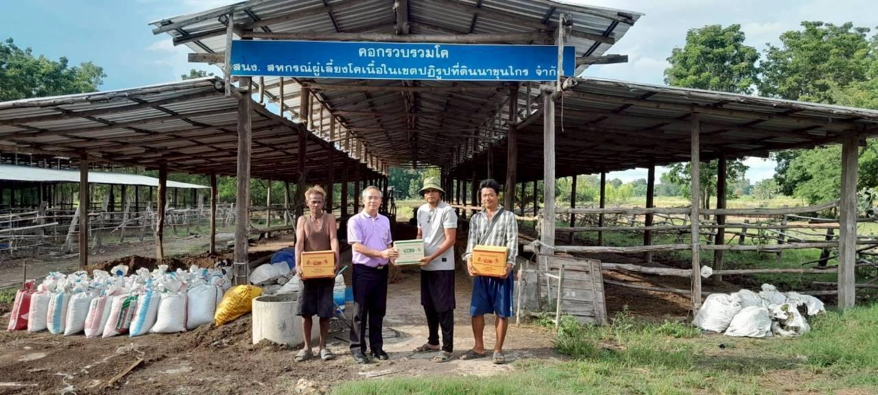 ภาพประกอบที่ 1