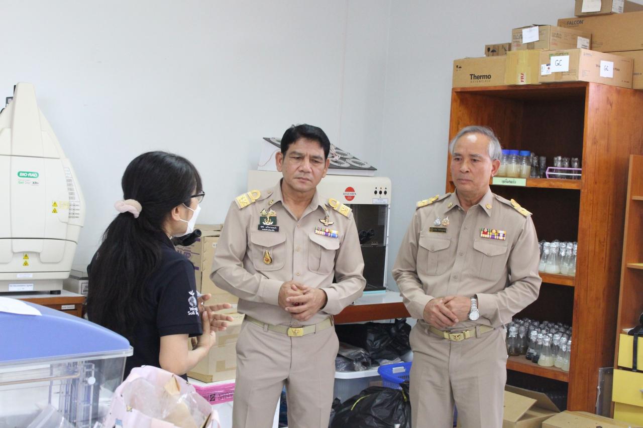 ภาพประกอบที่ 0