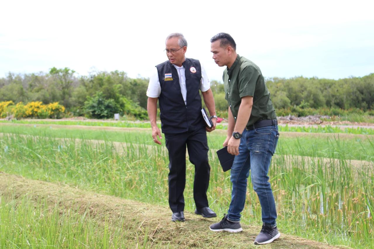 ภาพประกอบที่ 1