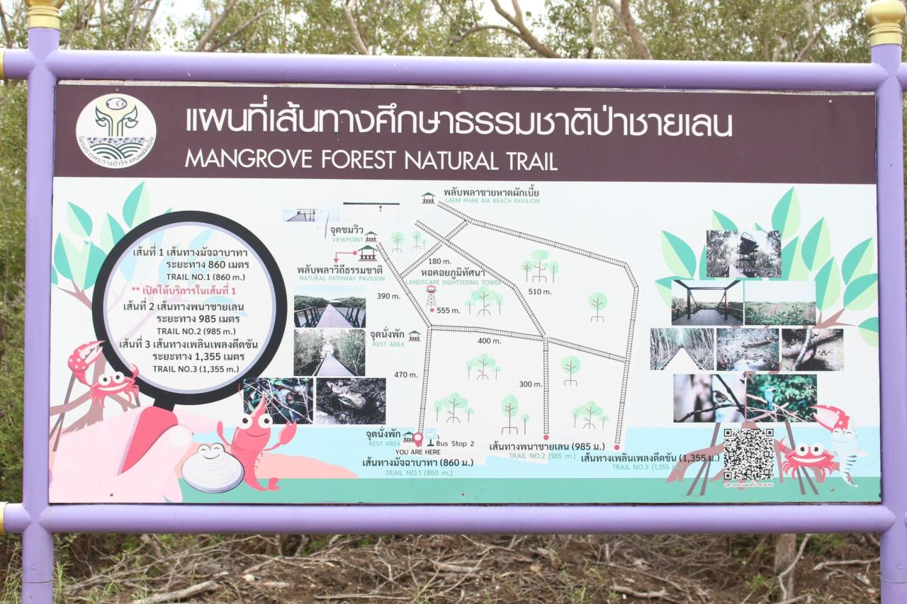 ภาพประกอบที่ 0