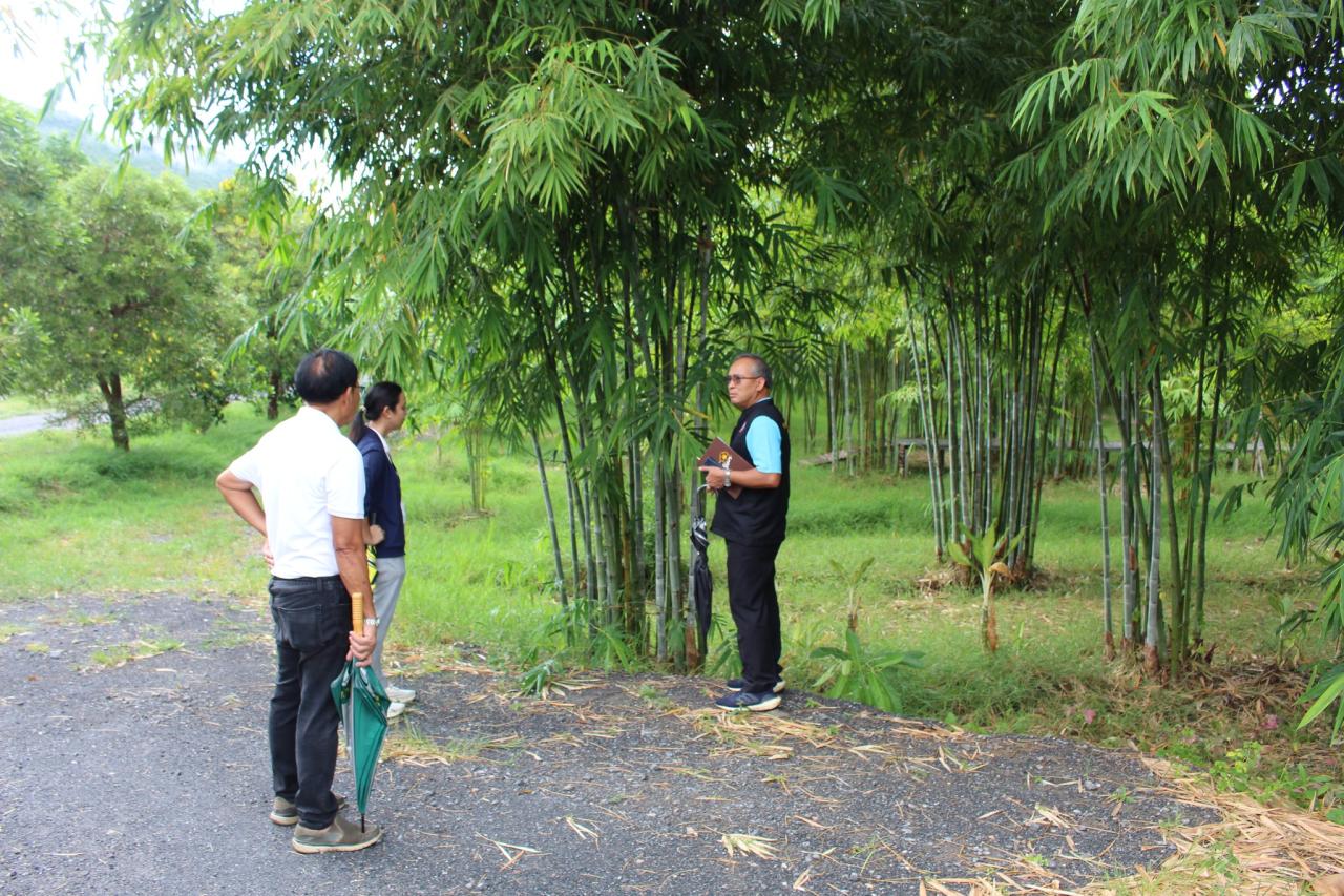 ภาพประกอบที่ 0