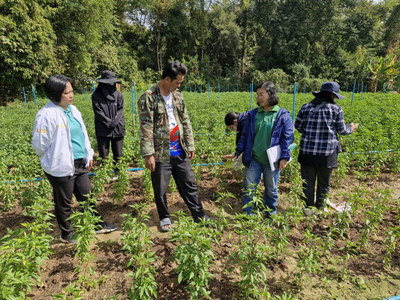 ภาพประกอบที่ 0