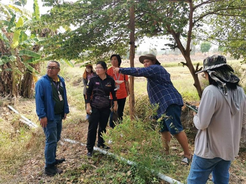 ภาพประกอบที่ 4