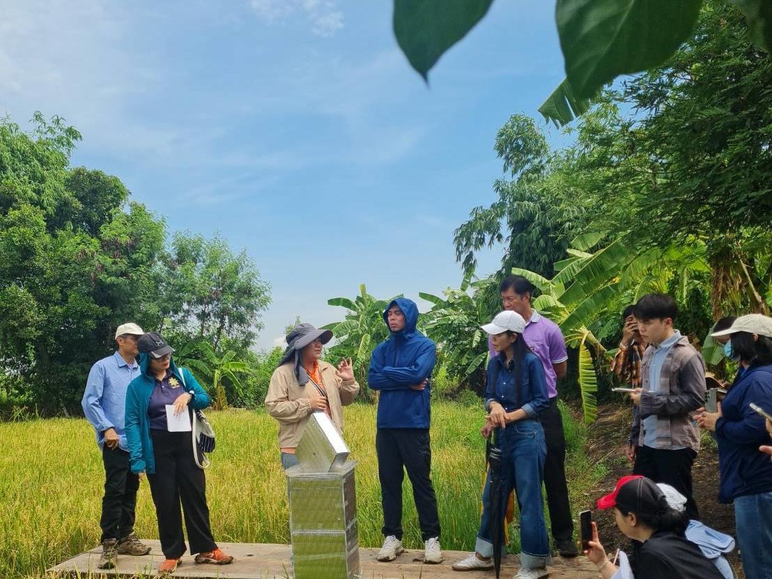 ภาพประกอบที่ 3