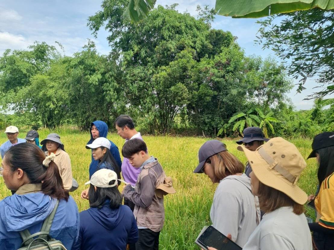 ภาพประกอบที่ 6