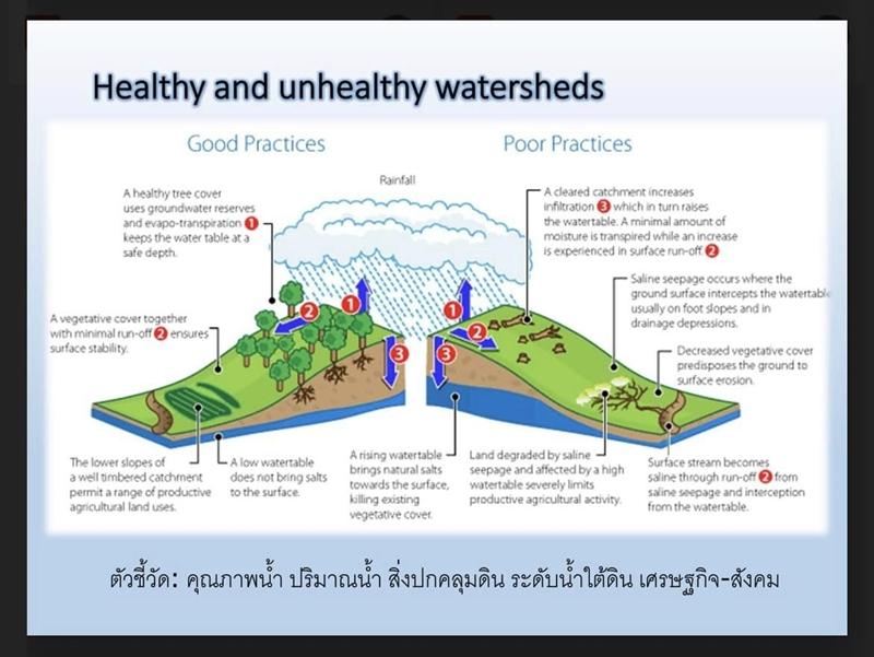 ภาพประกอบที่ 11