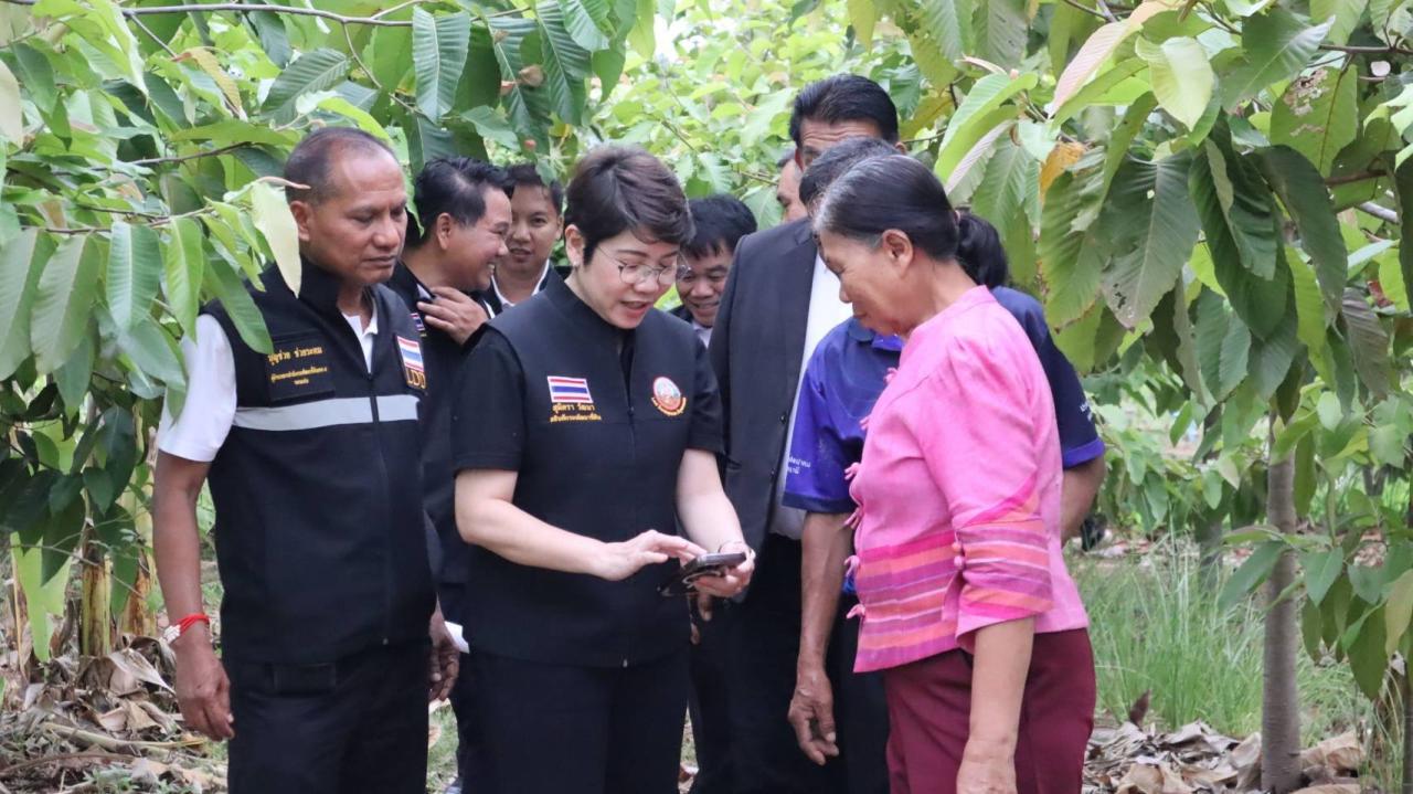 ภาพประกอบที่ 1