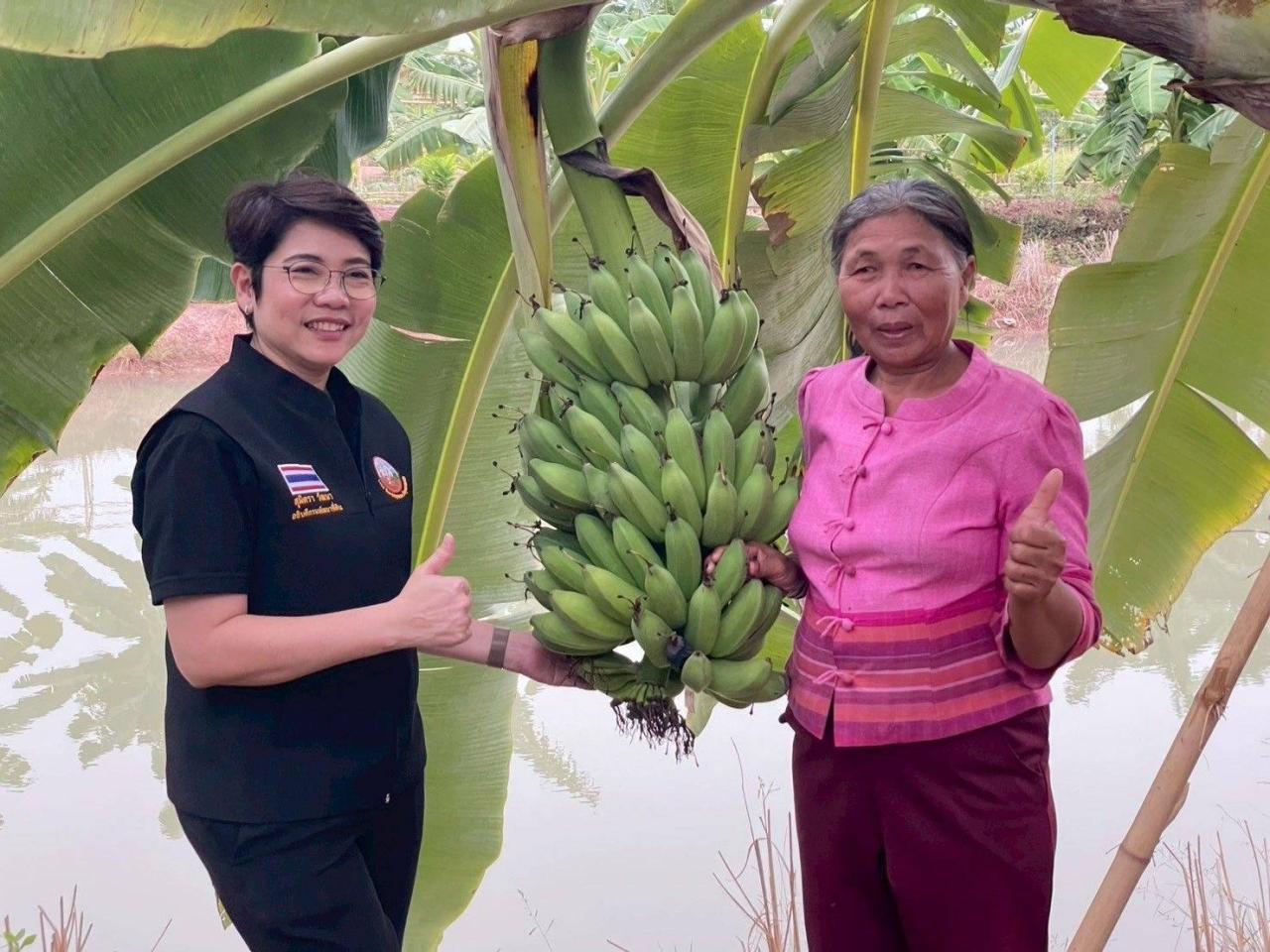 ภาพประกอบที่ 11