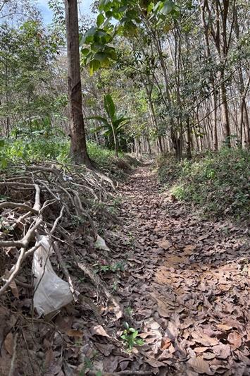 ภาพประกอบที่ 7