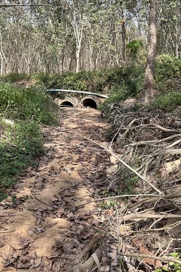 ภาพประกอบที่ 8