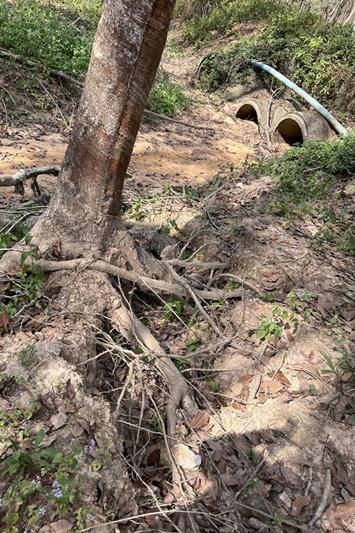 ภาพประกอบที่ 9