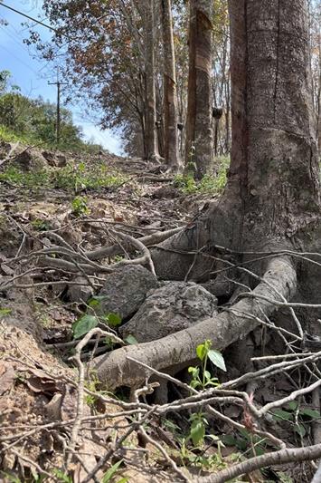 ภาพประกอบที่ 10