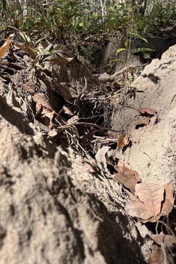 ภาพประกอบที่ 13