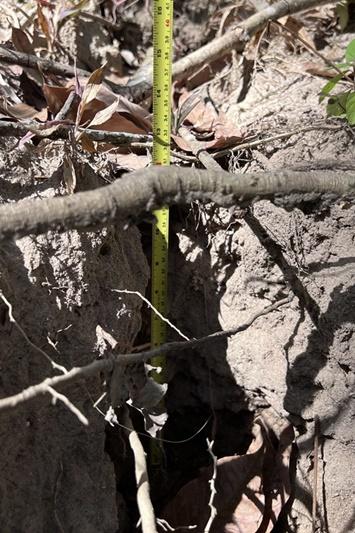 ภาพประกอบที่ 14